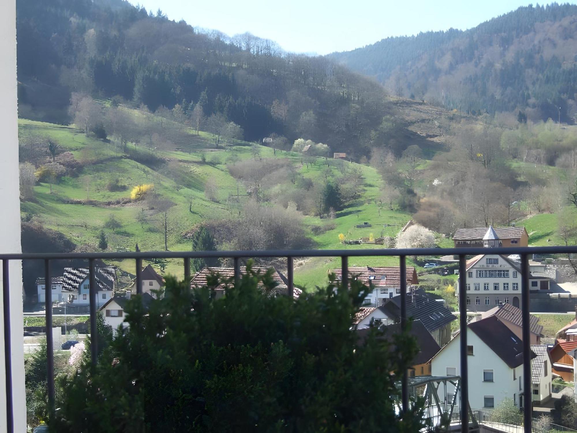 Regina'S Gaestehaus Weisenbach Dış mekan fotoğraf